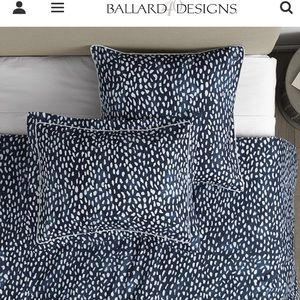 Ballard Designs Euro Shams (set of 3)
